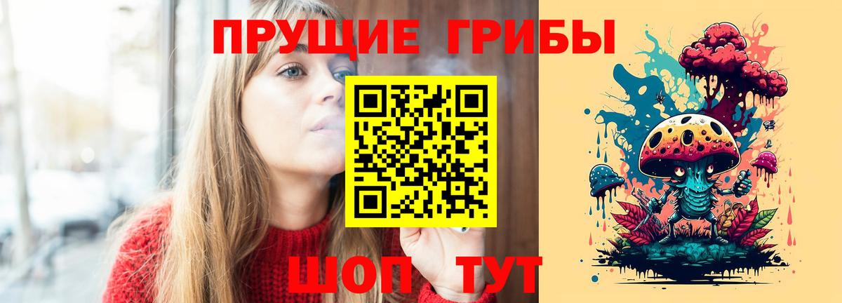 Псилоцибиновые грибы ЛСД Камышлов