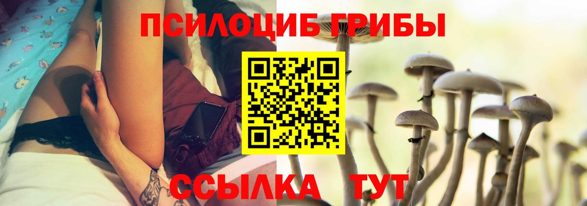 Галлюциногенные грибы ЛСД  Вход с VPN  Камышлов 